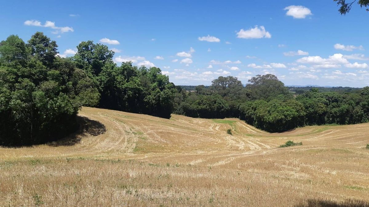 Terreno Rural Araucária - Terreno em Araucária - à venda - ODPPIS IMÓVEIS