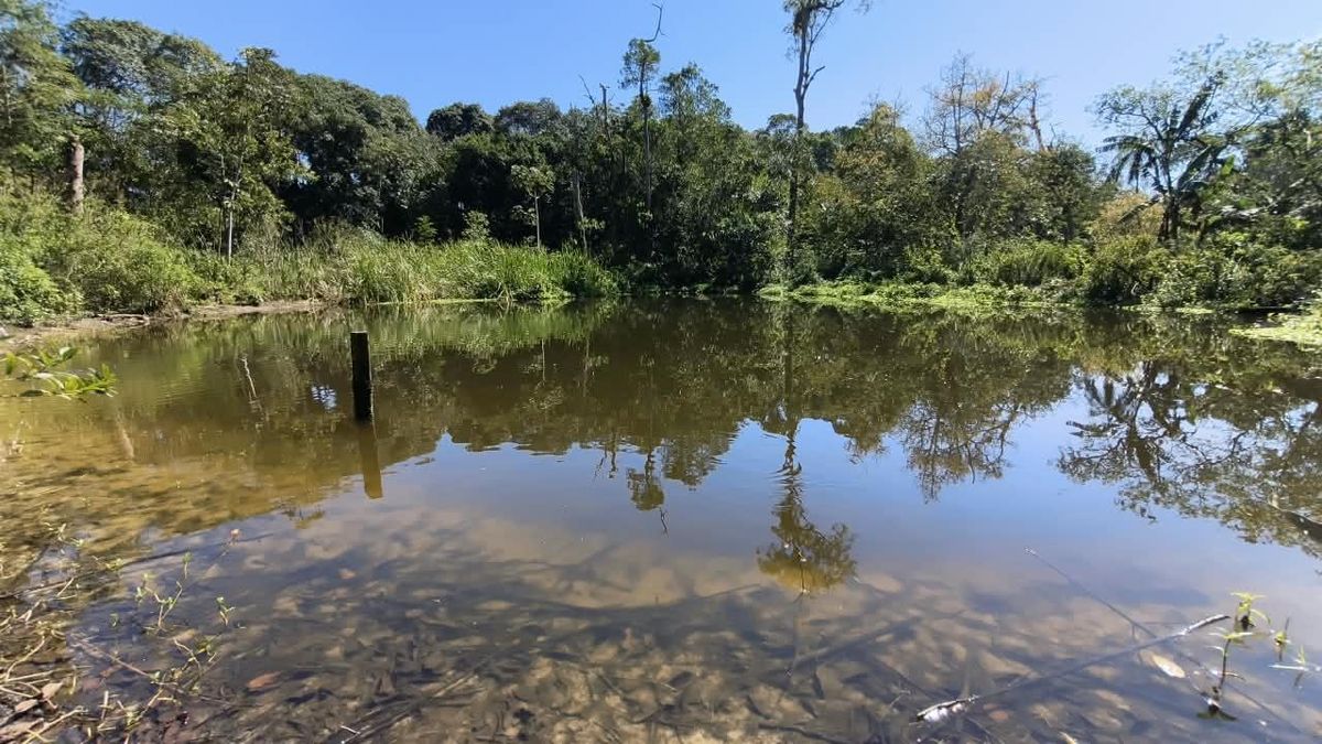 CH498 - Chácara em São Fernando, Itanhaém - Chácara em São Fernando, Itanhaém - à venda - FPX Imóveis LTDA