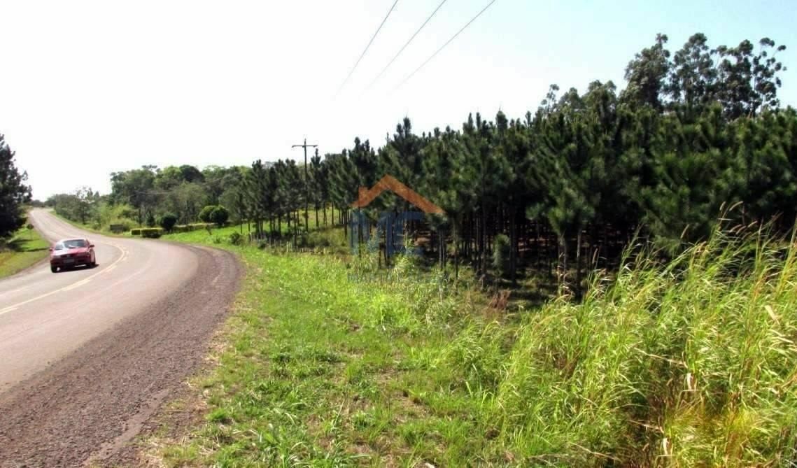 SANTO CRISTO - BOM PRINCIPIO - 4,5 Ha - Chácara em Santo Cristo - à venda - MC Negócios Imobiliários LTDA