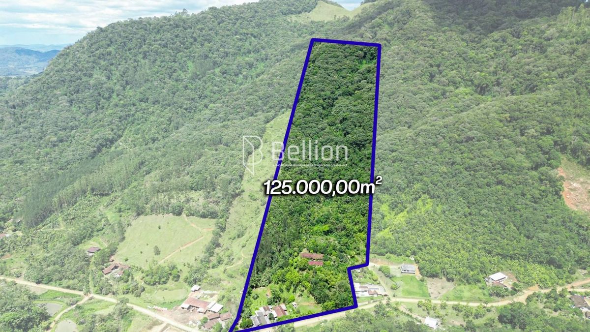 Sítio com casa em madeira de lei e riqueza em água em Rio dos Cedros
