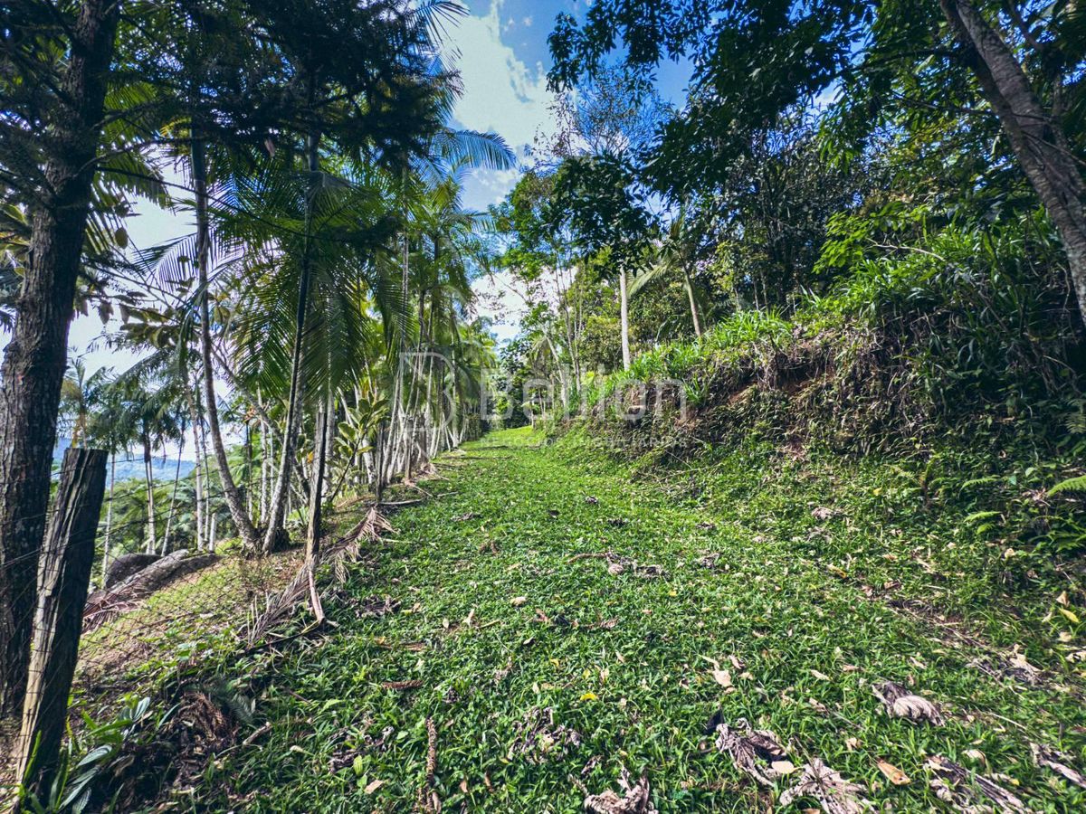Sítio, 9 quartos, 13 hectares - Foto 49