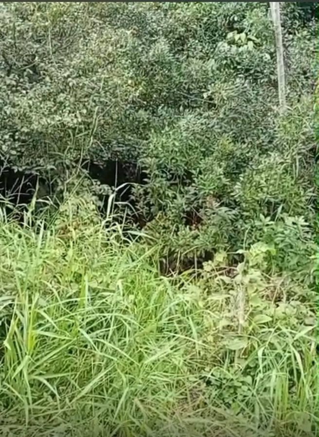 Ter841 - Lote/Terreno em Balneario Gaivotas, Itanhaém - Lote/Terreno em Balneario Gaivotas, Itanhaém - à venda - FPX Imóveis LTDA