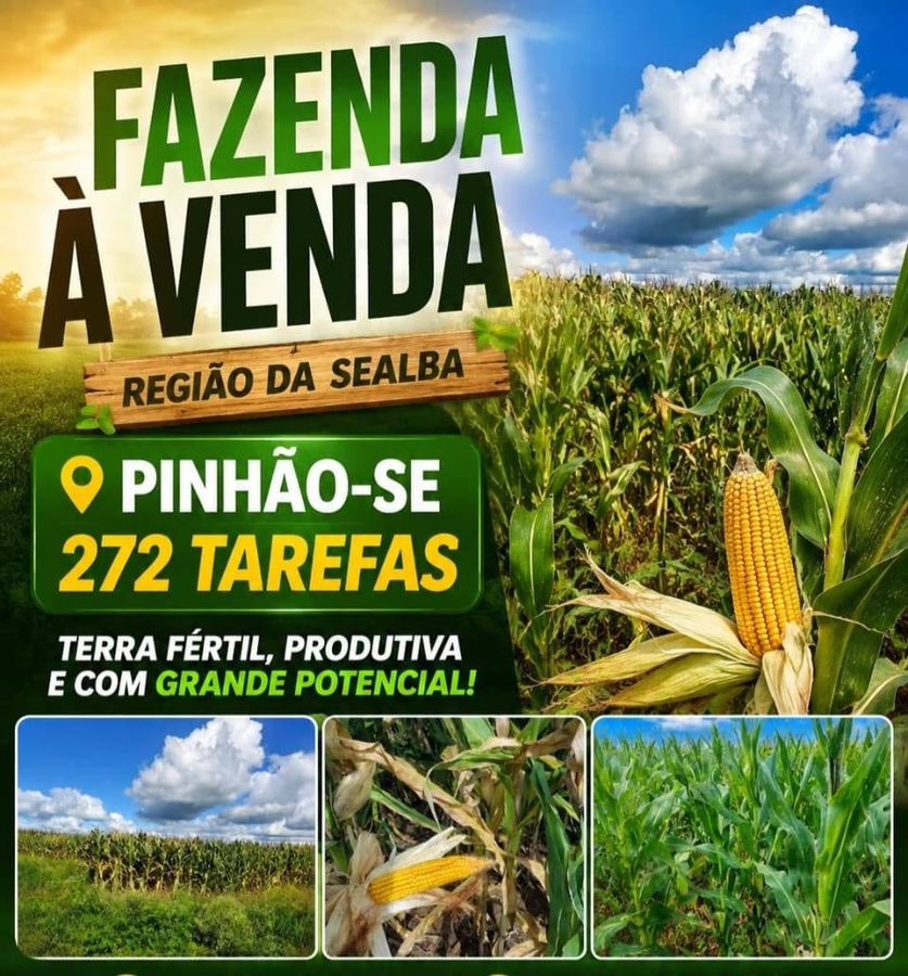FAZENDA PINHÃO/SE - Fazenda em Centro, Pinhão - à venda - VIVVA SOLUÇÕES IMOBILIÁRIAS LTDA