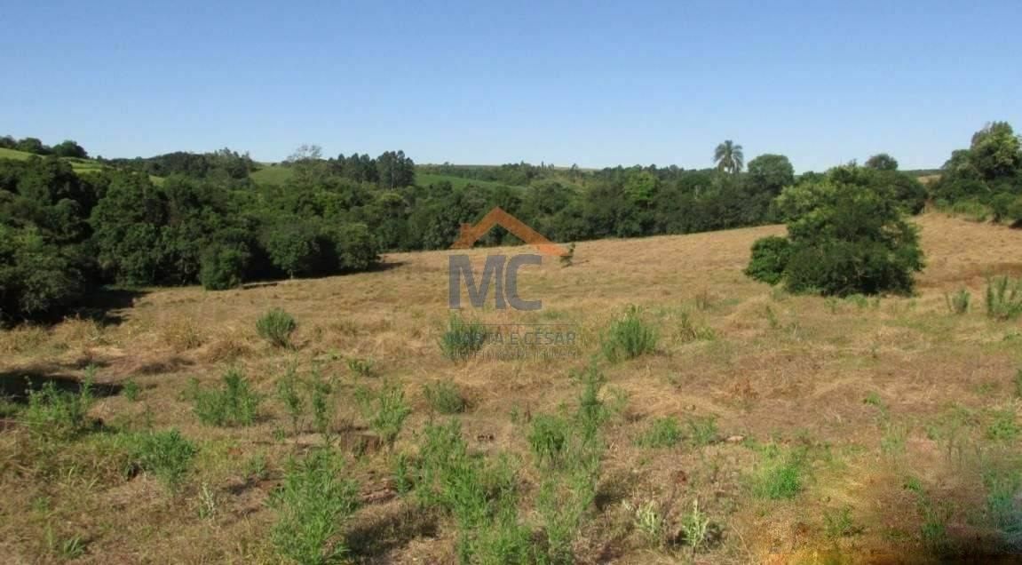 LAJEADO TARUMÃ - 6 Ha - Chácara em Santa Rosa - à venda - MC Negócios Imobiliários LTDA