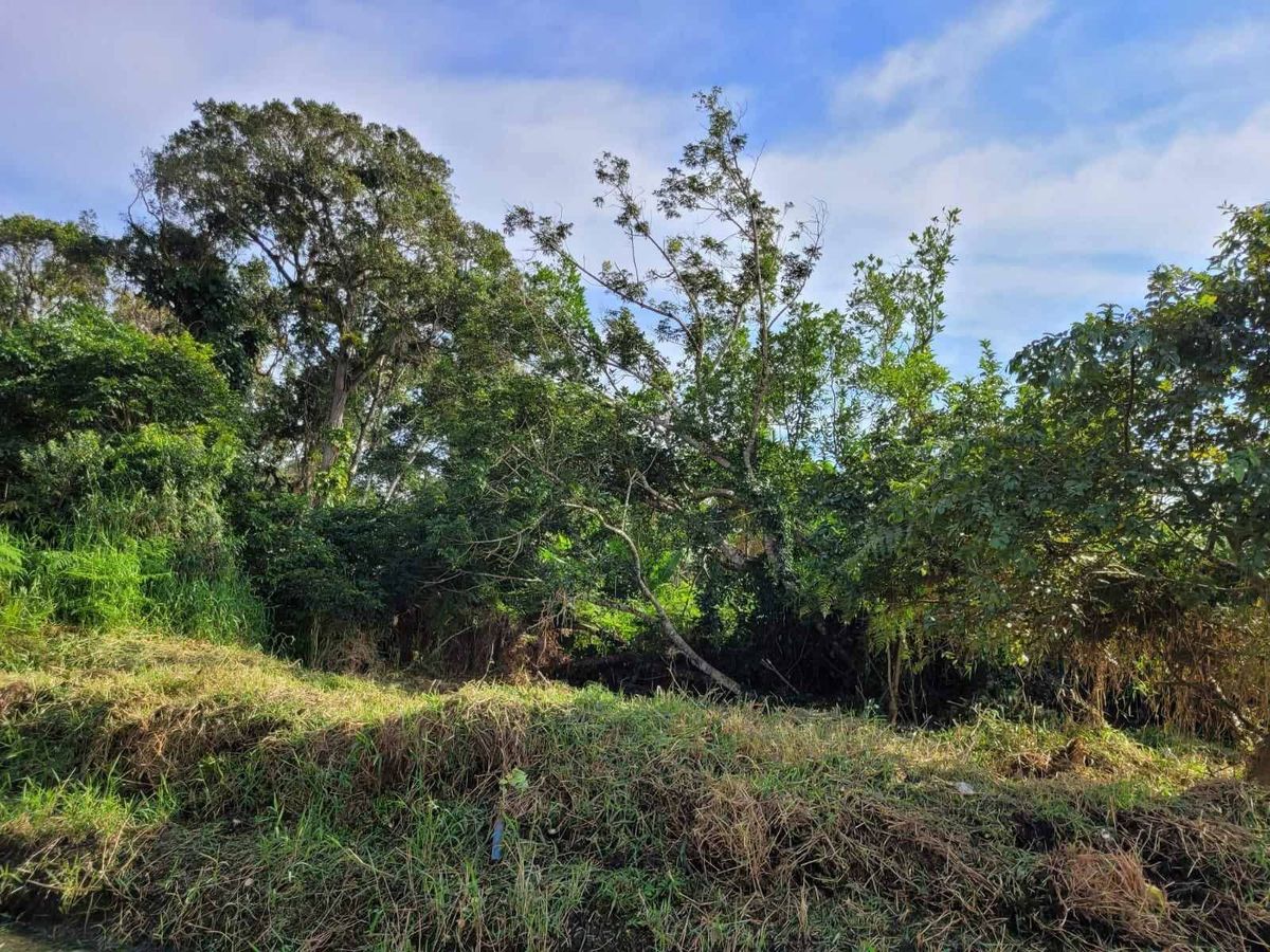 Terreno 405.90 m² em Barra Velha para VENDA - Lote/Terreno em Quinta dos Açorianos, Barra Velha - à venda - Manacá Negócios Imobiliários