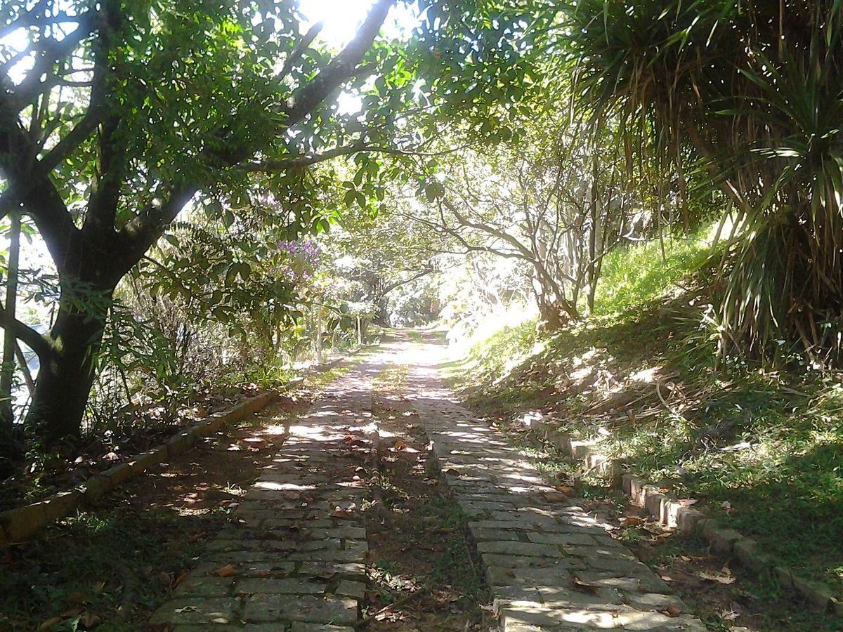 Chácara com 5 dormitórios à venda, 10000 m² por R$ 1.500.000,00 - Condomínio Nova Suiça - Valinhos/SP, foto 5