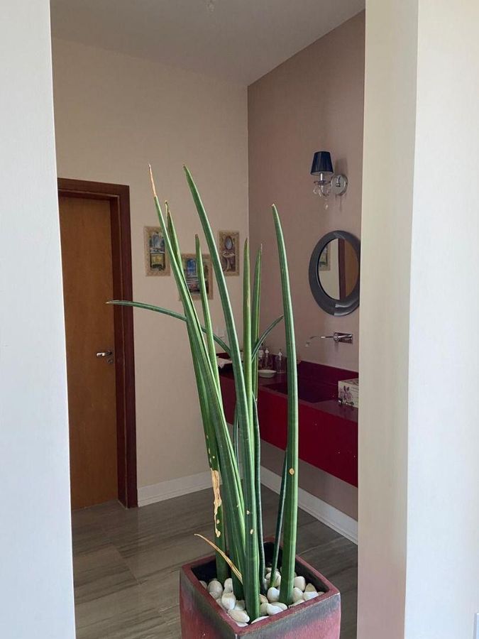 Casa com 3 dormitórios à venda, 563 m² por R$ 2.980.000 - Monte Alegre - Vinhedo/SP, foto 4