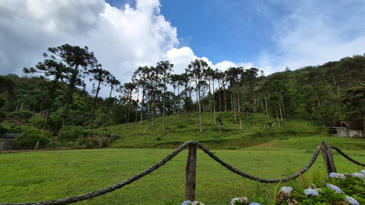 Sítio à venda, com 21.591,26m² por R$ 750.000,00 - Manso - Jaraguá do Sul- SC - Lote/Terreno em Manso, Jaraguá do Sul - à venda - Imobiliária Piermann