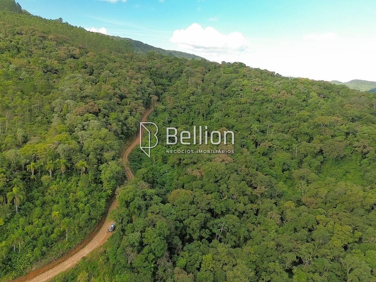 141.367m² com Cachoeira e Potencial para Chalés em Ribeirão Coração, Benedito Novo