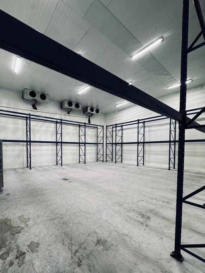 Galpao Centro De Distribuição - Galpão em Boqueirão, Curitiba - para locação - Haven Imoveis LTDA