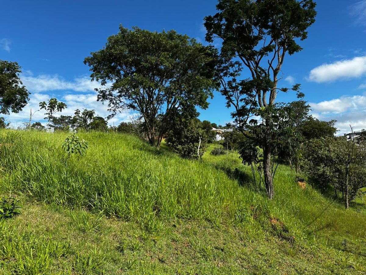 Não há imóvel na imagem, somente natureza.