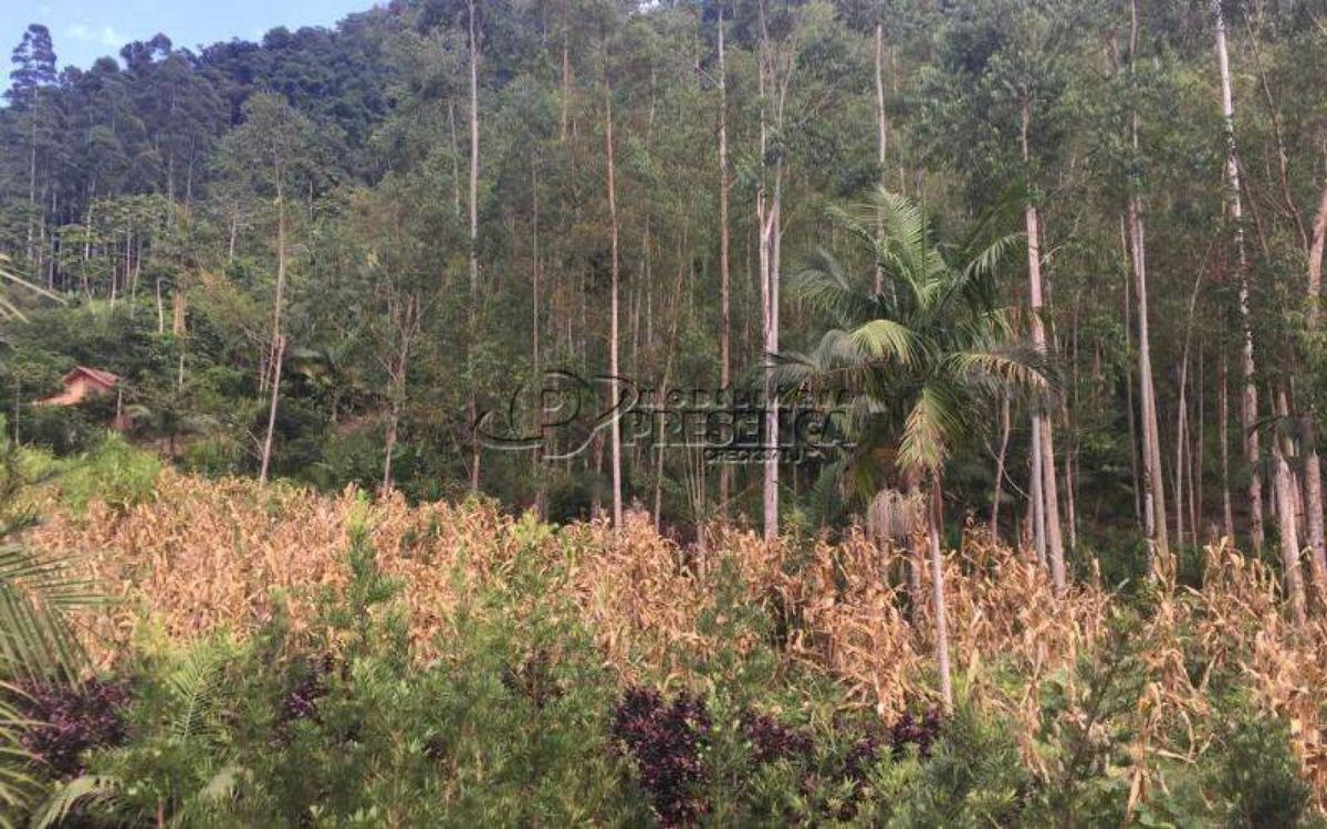 Chácara - Rio Paulo, Corupá/SC - Chácara em Corupá - à venda - Imobiliária Presença