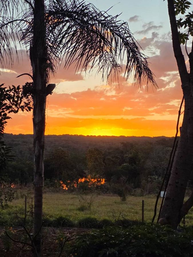 Área produtiva às margens do Rio Doce - Chácara em Aparecida do Rio Doce - à venda - Rural Urbano Imóveis