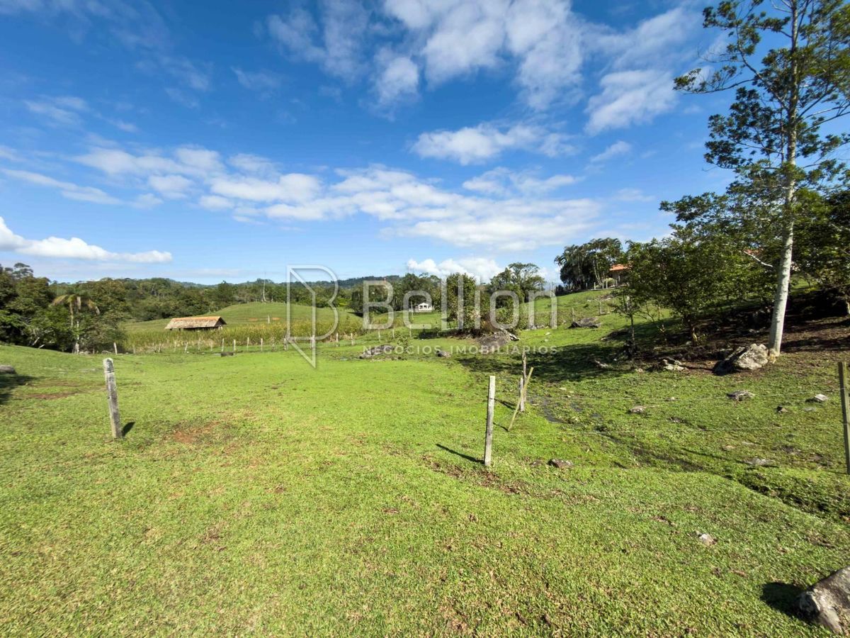 Terreno, 4217 m² - Foto 5