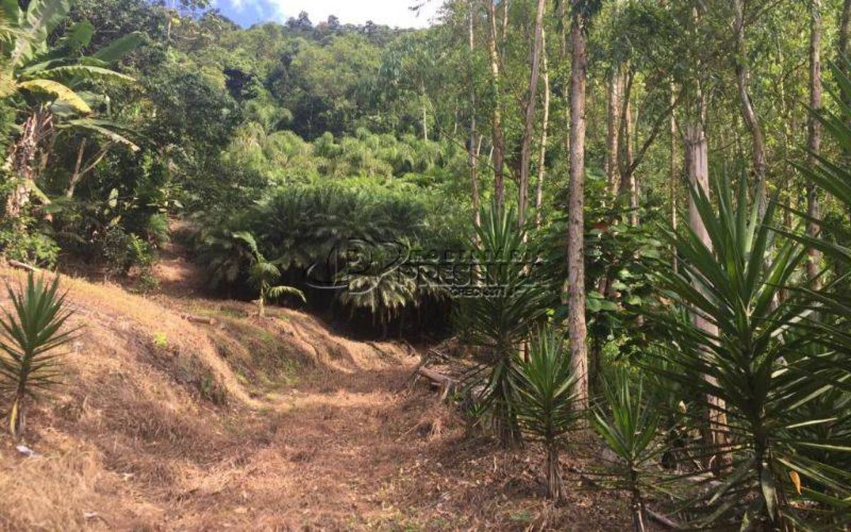 Chácara - Rio Paulo, Corupá/SC - Chácara em Corupá - à venda - Imobiliária Presença