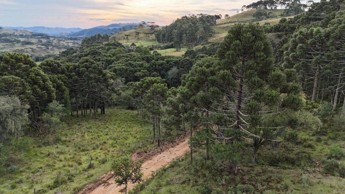 Á venda Terreno Rural , Capitel da Menina Custodia - Terreno em Três pedrinhas, São Joaquim - à venda - Figueiredo e Reginato Gestão Imobiliaria e Comercio LTDA