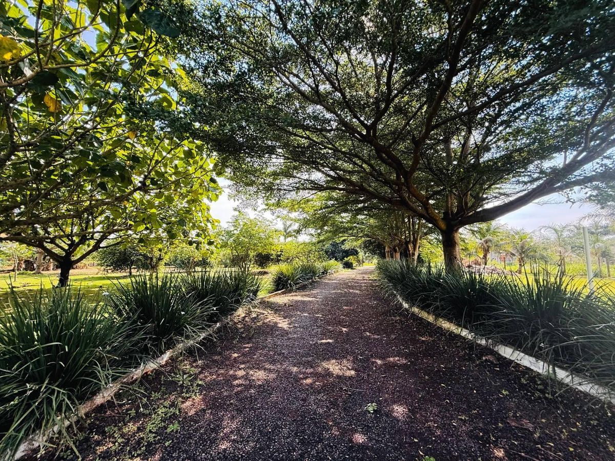 CHÁCARA Á VENDA EM TRÊS LAGOAS COM CASA E PISCINA- FOZ DO IGUAÇU/PR - Chácara em Três Lagoas, Foz do Iguaçu - à venda - Imob10 Imobiliária Ltda
