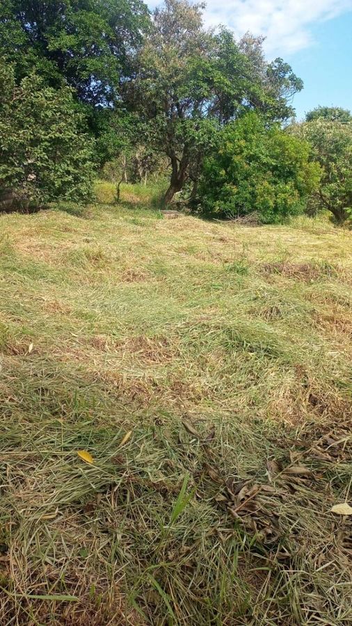Lote/Terreno à Venda, Fazenda Hotel São Bento do Recreio - Valinhos, foto 5