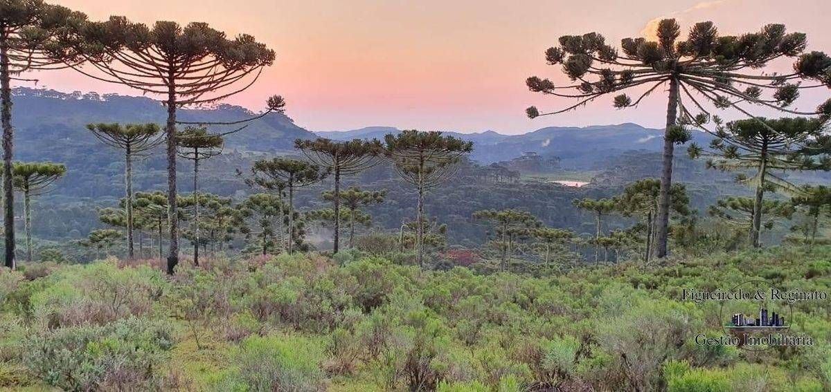 Terreno rural - Terreno em São Joaquim - à venda - Figueiredo e Reginato Gestão Imobiliaria e Comercio LTDA