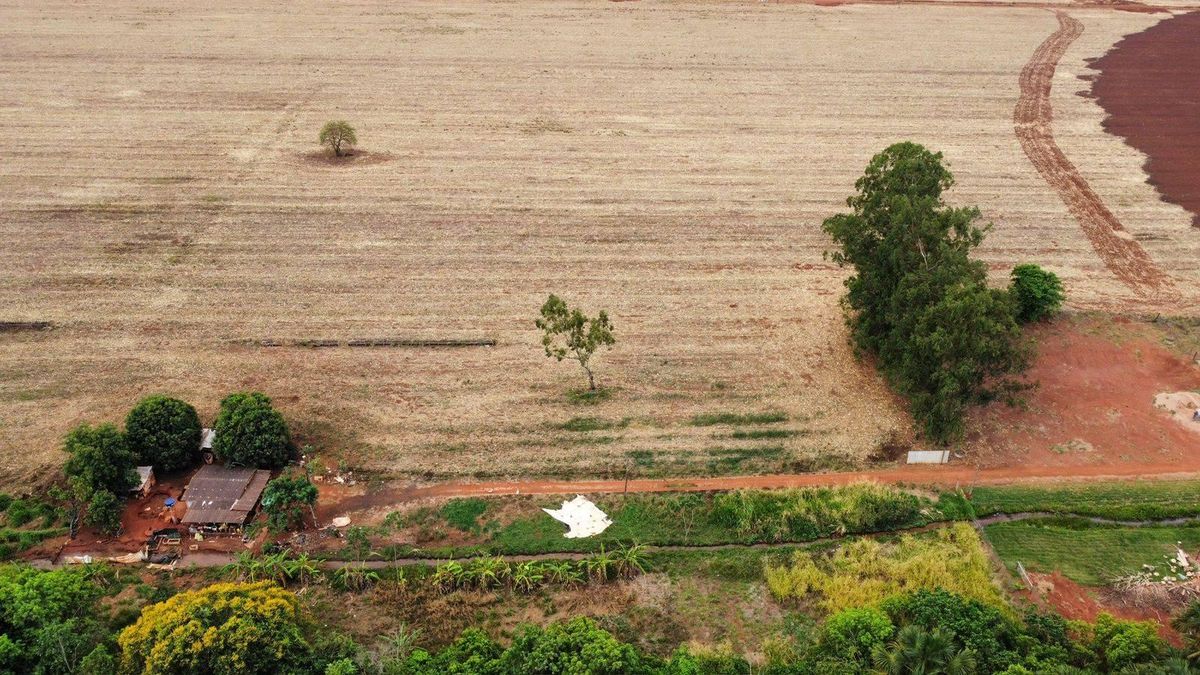 Área Rural com Solo Fértil - Chácara em Rio Verde - à venda - Rural Urbano Imóveis