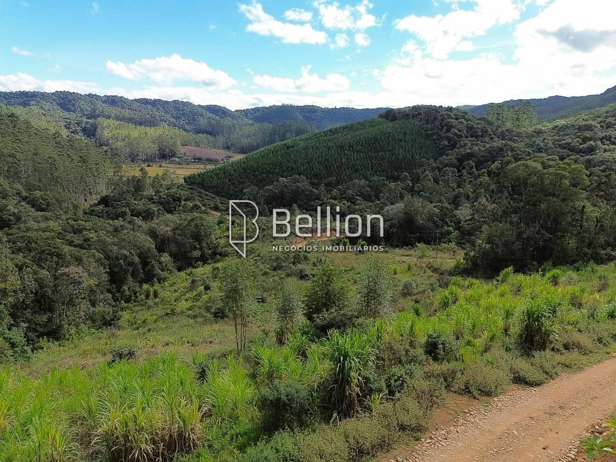 141.367m² com Cachoeira e Potencial para Chalés em Ribeirão Coração, Benedito Novo