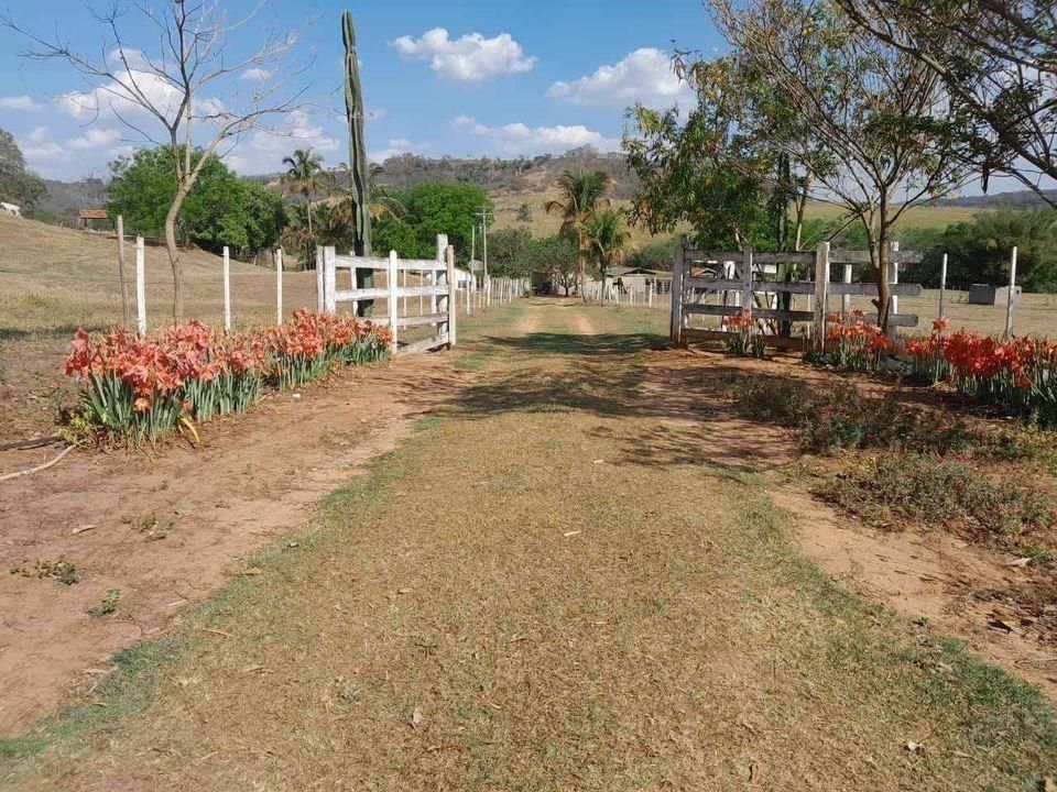 Rural › Sítio - Sítio em Marília - à venda - FLEX CONSULTORIA IMOBILIÁRIA LTDA