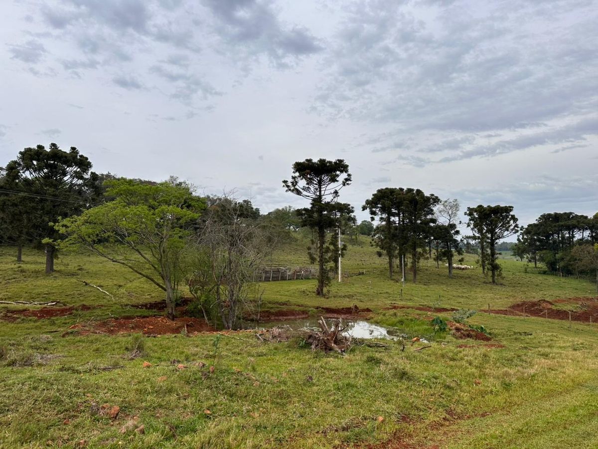Área rural de 31 alqueires em Lindoeste - Fazenda em Lindoeste - à venda - Terrenos Cascavel LTDA