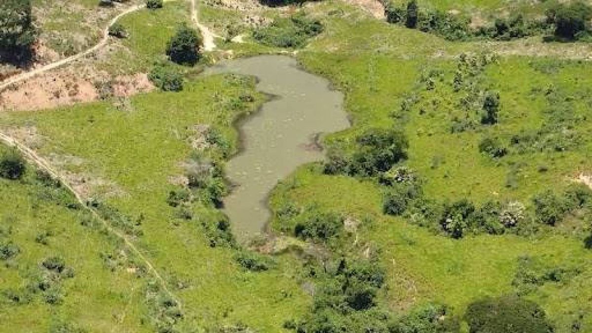 Fazenda com 1 dormitório à venda, 1658703 m² por R$ 4.500.000,00 - Aimores - Aimorés/MG