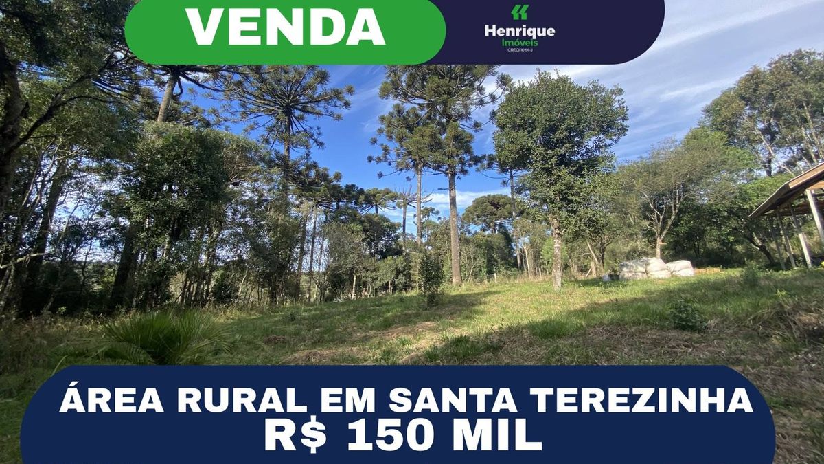 Chácara, Zona Rural - Pinhão - Chácara em Zona Rural, Pinhão - à venda - Henrique soluções e produtos imobiliários