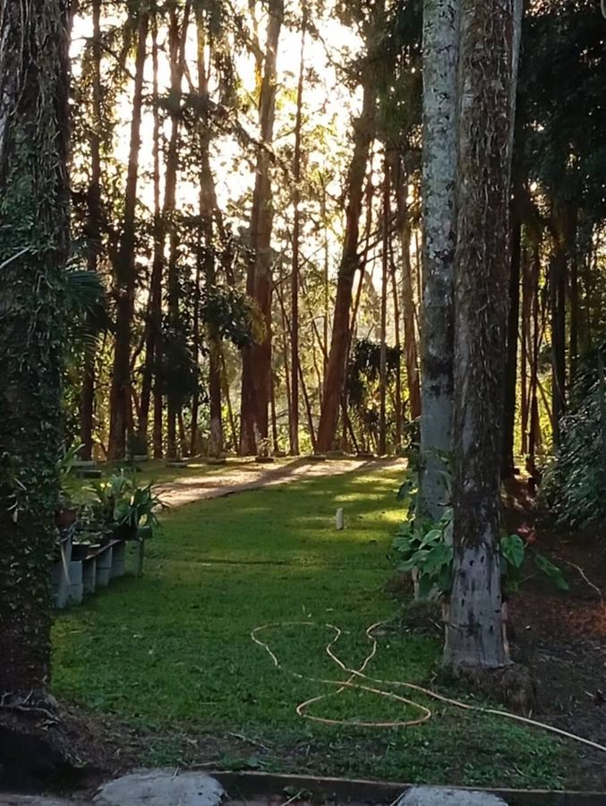 Sítio, 5 quartos, 1 hectares - Foto 32