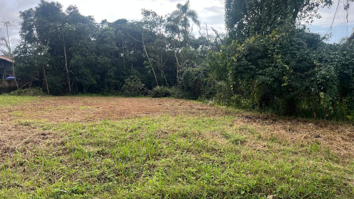 Terreno 595m² próximo da Ponte Pênsil Quinta dos Açores Barra Velha - Lote/Terreno em Quinta dos Açorianos, Barra Velha - à venda - Manacá Negócios Imobiliários