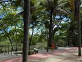 Planta baixa - Apartamento 2 quartos com varanda no Condomínio Rosa do Sol – Barra da Tijuca - Apartamento em Barra da Tijuca, Rio de Janeiro - à venda - Souza’s Soluções Imobiliárias LTDA