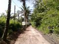 Planta baixa - Terreno com projeto de construção - Lote/Terreno em Arraial d´Ajuda, Porto Seguro - à venda - Ramos Arraial