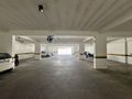 Apartamento Mobiliado com 02 Dormitórios em Areias - Conforto, Leveza e Praticidade - Apartamento em Areias, São José - para locação - Conceito Imóveis