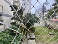 Apartamento para Locação em Coqueiros | Reformado, 2 dormitórios e a poucos passos do Parque de Coqueiros e do Centro