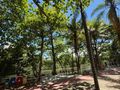 Planta baixa - Apartamento 2 quartos com varanda no Condomínio Rosa do Sol – Barra da Tijuca - Apartamento em Barra da Tijuca, Rio de Janeiro - à venda - Souza’s Soluções Imobiliárias LTDA