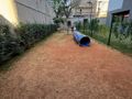 Urban Home