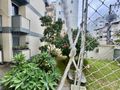 Apartamento para Locação em Coqueiros | Reformado, 2 dormitórios e a poucos passos do Parque de Coqueiros e do Centro