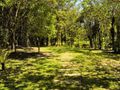 Planta baixa - Terreno- Venda - Condomínio Fechado Gralha Azul - 816 m2 de área privativa - - Lote/Terreno em Rio Pequeno, Camboriú - à venda - IMOBILIÁRIA GUILHERME LTDA