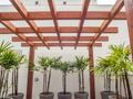 Apartamento com 3 quartos, Barreiros - São José