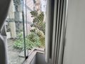 Apartamento para Locação em Coqueiros | Reformado, 2 dormitórios e a poucos passos do Parque de Coqueiros e do Centro
