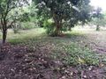 Chácara em Araçoiaba da Serra , SP, 3 Dormitórios À Venda, 20000 M² Por R$ 1.200.000,00 - Aparecidinha - Araçoiaba da Serra/Sp - Chácara em Capanema, Araçoiaba da Serra - à venda - Imobiliária Romano