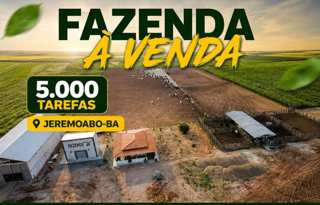 FAZENDA JEREMOABO - BA - Fazenda em Centro, Jeremoabo - à venda - VIVVA SOLUÇÕES IMOBILIÁRIAS LTDA