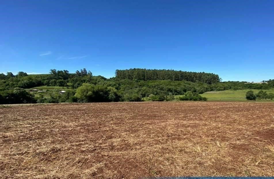 AREA RURAL CAMPO DA AVIAÇÃO - Terreno em Área Rural de Santa Rosa, Santa Rosa - à venda - MC Negócios Imobiliários LTDA