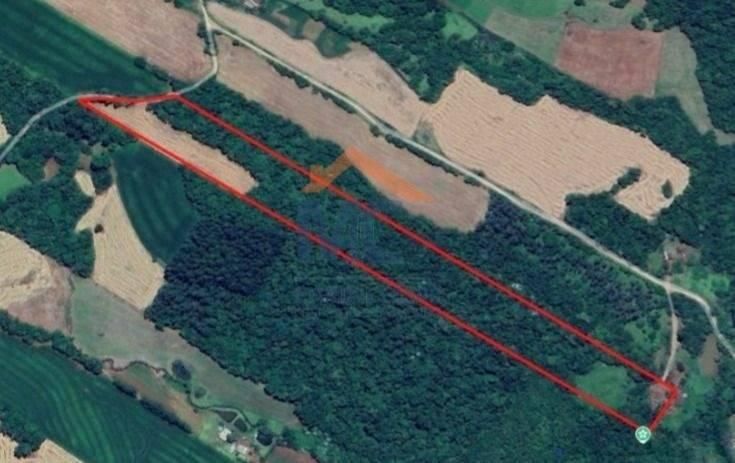 LAJEADO TIGRE - 06 ha - Chácara em Santa Rosa - à venda - MC Negócios Imobiliários LTDA