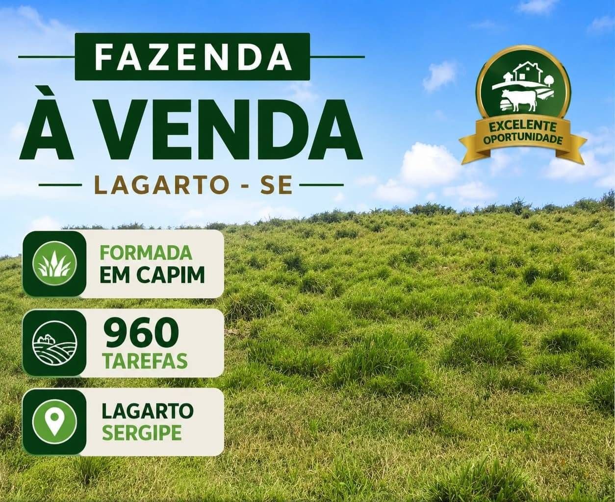 FAZENDA LAGARTO/SE - Fazenda em Centro, Lagarto - à venda - VIVVA SOLUÇÕES IMOBILIÁRIAS LTDA