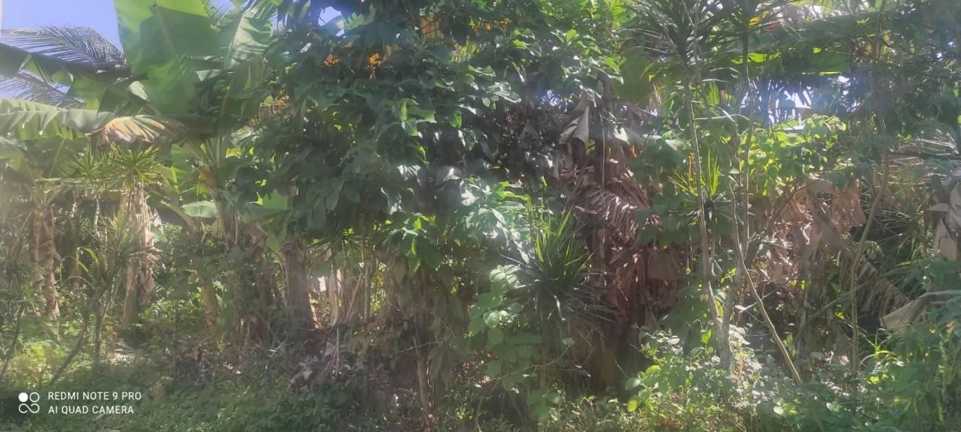 Lote/Terreno à Venda, Jardim Suarão - Itanhaém - Lote/Terreno em Jardim Suarão, Itanhaém - à venda - Oliveira Filx Imóveis