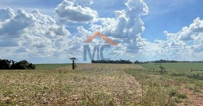 ÁREA DE TERRAS - KM 05 (PLANA) - Terreno em Santa Rosa - à venda - MC Negócios Imobiliários LTDA
