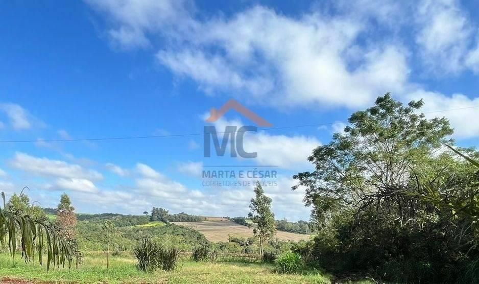 2 HA DIVISA RIO SANTO CRISTO - 5.5 Km DE SANTA ROSA - Chácara em Santa Rosa - à venda - MC Negócios Imobiliários LTDA