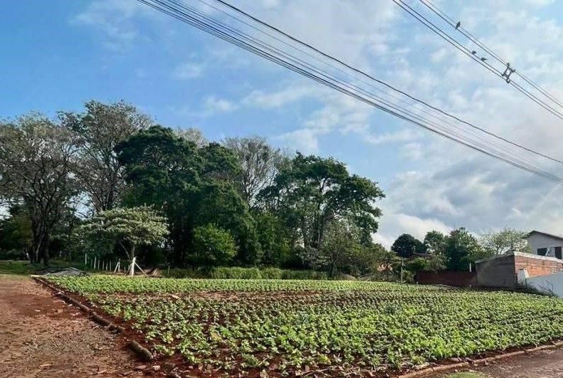 BAIRRO OLIVEIRA - Terreno em Central, Santa Rosa - à venda - MC Negócios Imobiliários LTDA